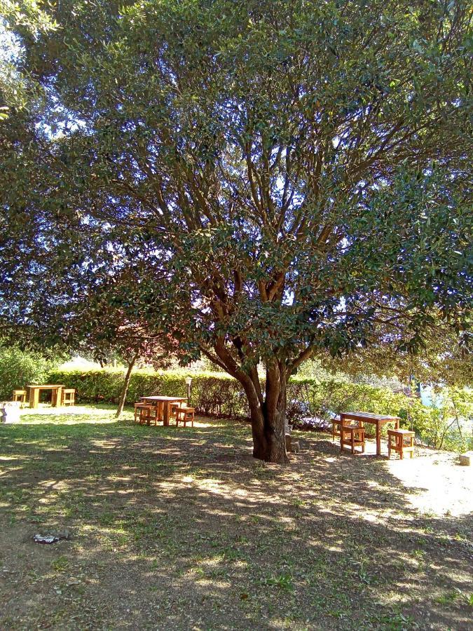 B&B Bene Bennios Iun F1441 Nuoro  Zewnętrze zdjęcie