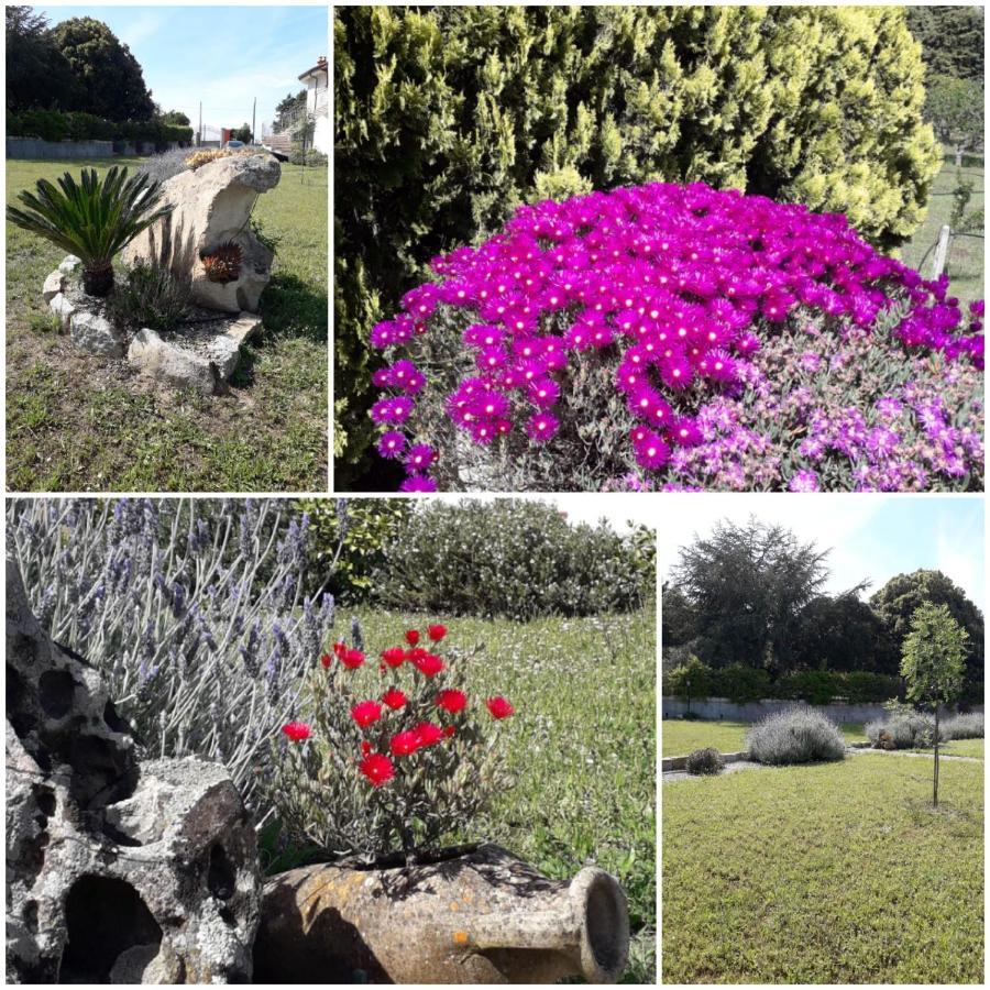B&B Bene Bennios Iun F1441 Nuoro  Zewnętrze zdjęcie