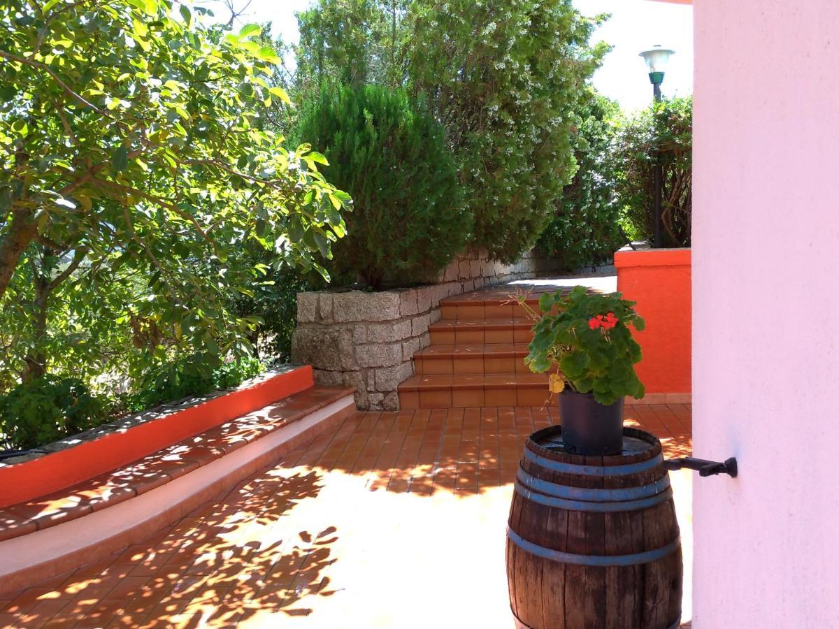 B&B Bene Bennios Iun F1441 Nuoro  Zewnętrze zdjęcie