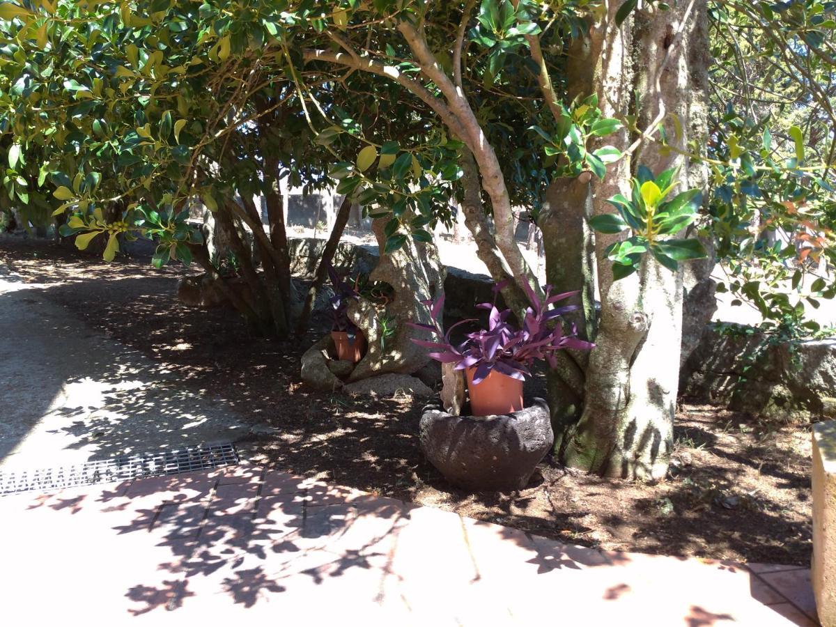 B&B Bene Bennios Iun F1441 Nuoro  Zewnętrze zdjęcie